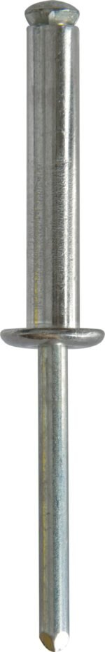 Rivets - Peel Black Type | PR49 - Image 4